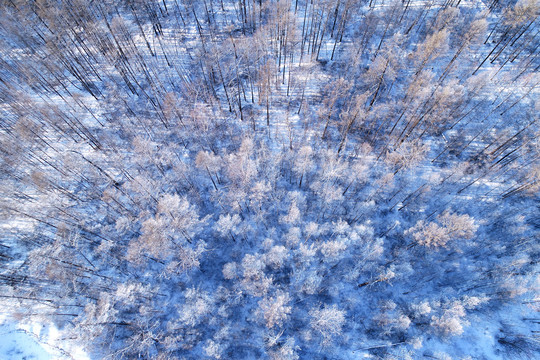 航拍大兴安岭冬季雪林