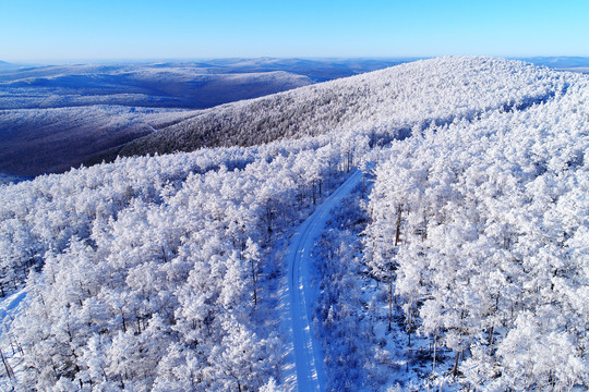 大兴安岭冬季雪林山路