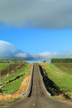 内蒙古乡村公路