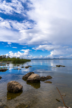 滇池湿地