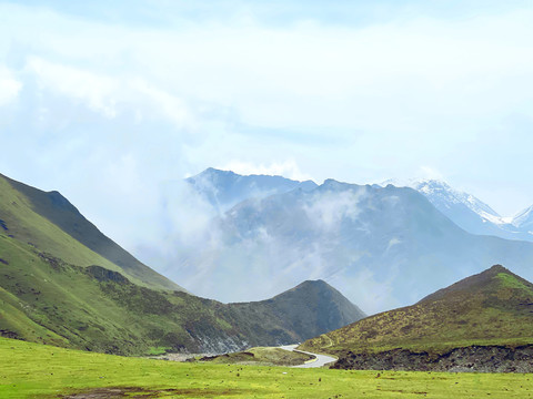 大西北高山