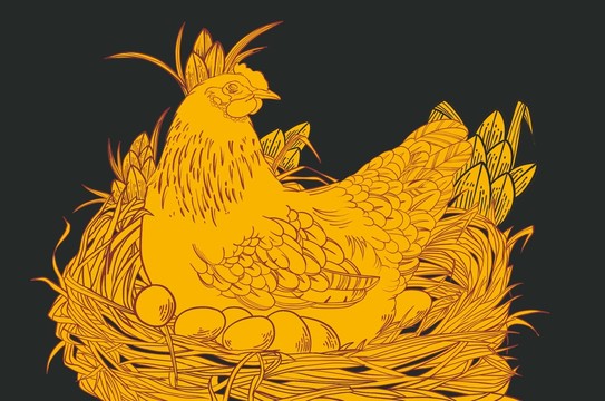 雞蛋線條插畫