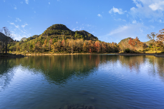 湖畔枫林秋景