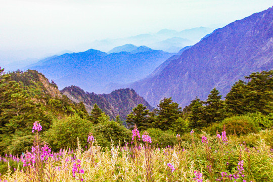 九峰山