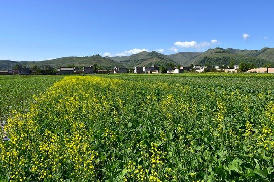 乡村风光