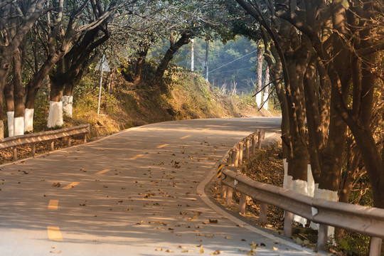 黄昏公路