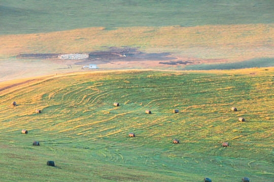 草原清晨牧场羊群
