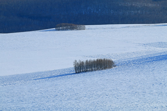 林海雪原雪景