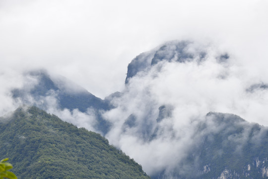 高山云雾