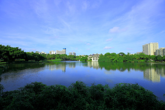 海口东湖公园风光