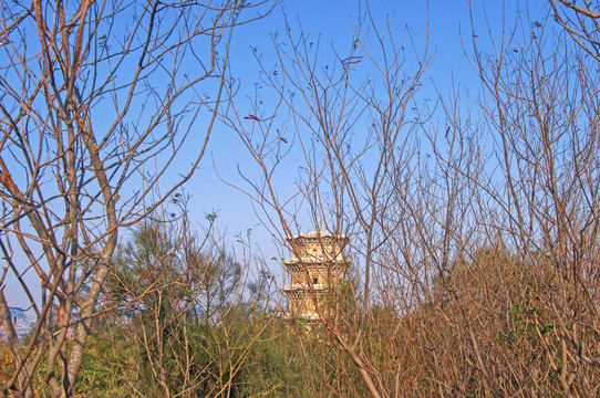 金钗山草木石塔
