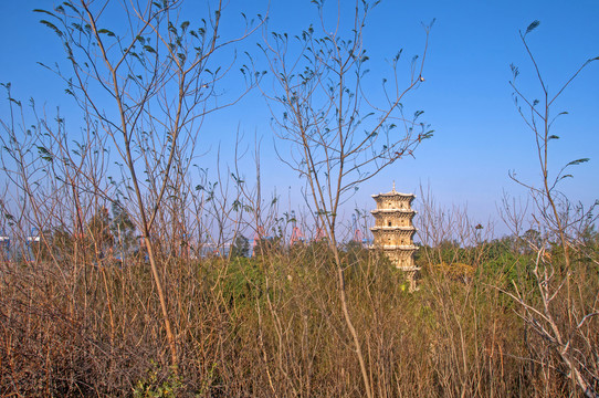 冬季金钗山看六胜塔