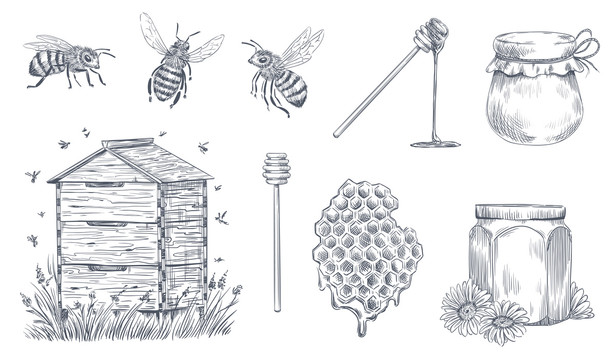 蜜蜂蜂窝蜂蜜复古线条风插画