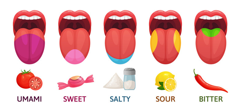 舌头不同反应创意设计插图