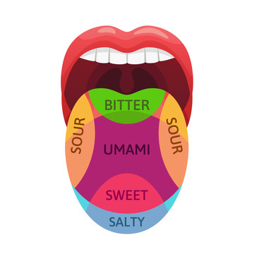 舌头反应分区创意设计插图