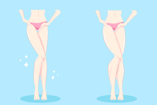 女性腿部线条对比插图