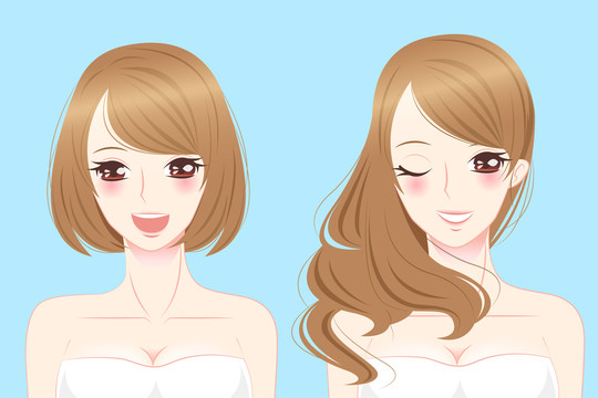 長(zhǎng)短發(fā)美女插圖