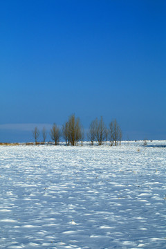 呼伦贝尔雪原风景