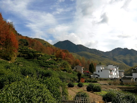 大山农村