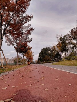 塑胶地面