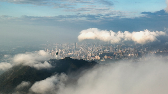 深圳八景之梧桐烟云