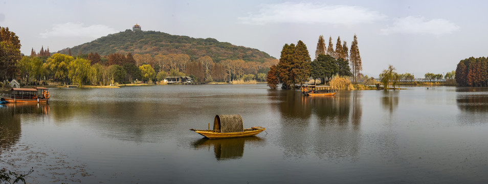 无锡鼋头渚水杉林全景图