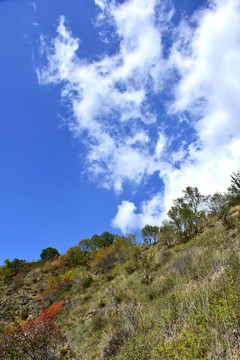 岷山秋色