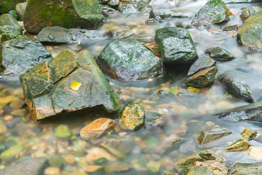 肇庆鼎湖山溪水风景