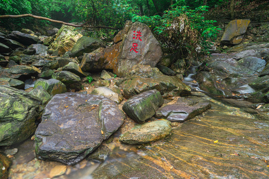 肇庆鼎湖山原始森林风景