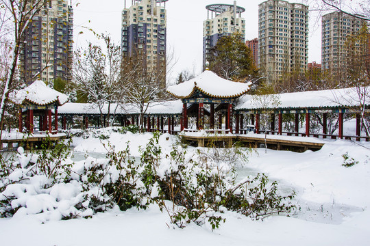 曲折长廊凉亭与高层建筑雪景