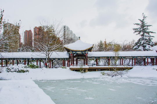 长廊凉亭高层建筑与冰雪地雪景