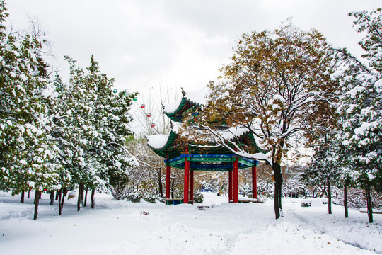 六角六柱双檐凉亭与树木雪景