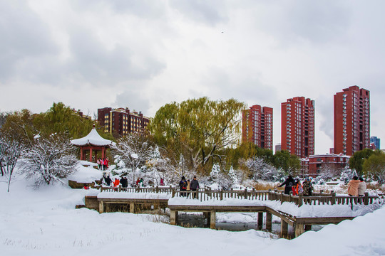 小岛凉亭折形石桥与建筑雪景