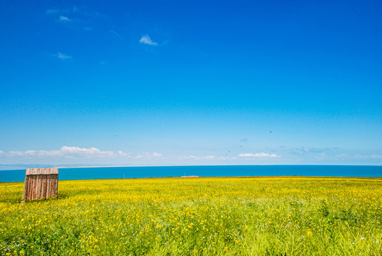 青海湖风景区