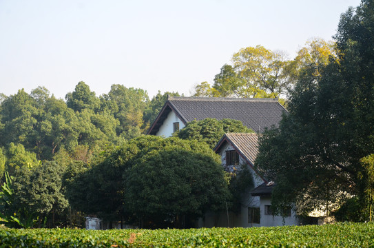 山林庭院