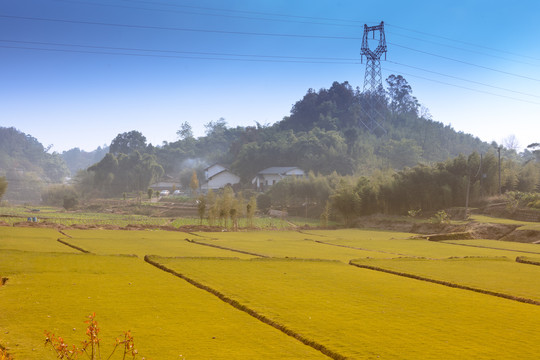 乡村田野