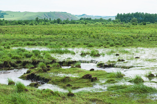 湿地生态河流