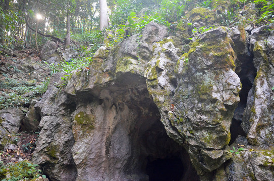 杭州飞来峰山石