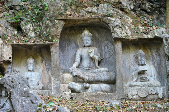 杭州飞来峰