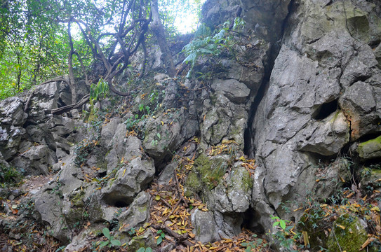 杭州飞来峰