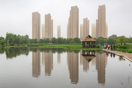 城中湿地