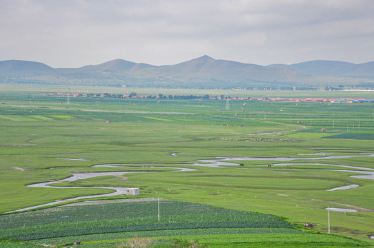 坝上草原风景