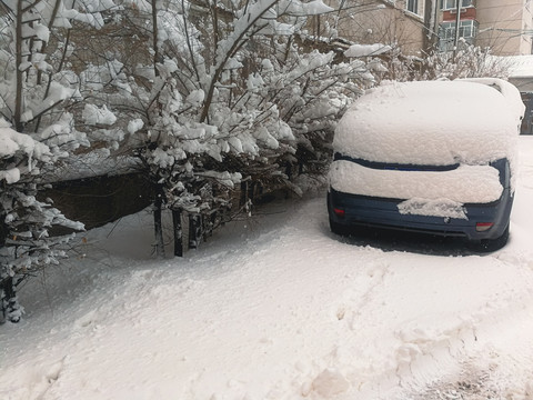 大雪覆盖汽车