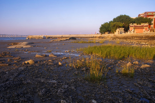 林銮渡滩涂湿地