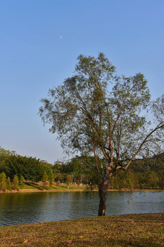 松山湖景色