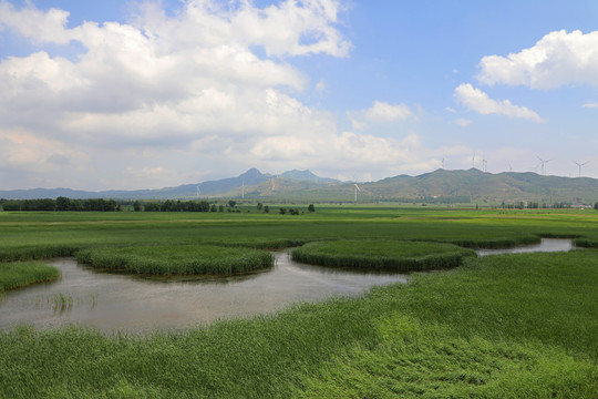 滹沱河孤山湿地