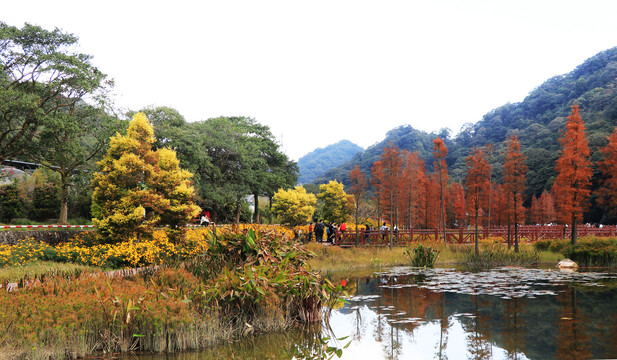 山水风景画