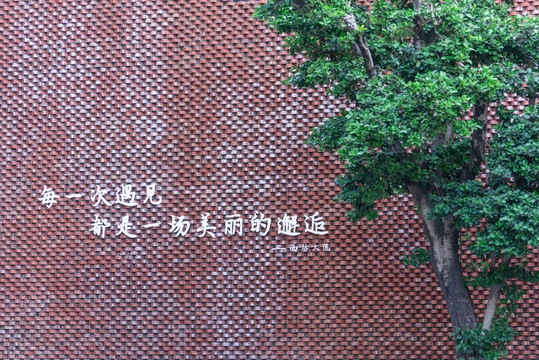 广州番禺西坊大院红砖墙