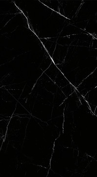 高清黑金花大理石材玄關(guān)背景墻