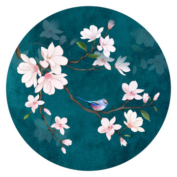玉蘭花鳥(niǎo)